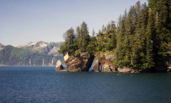 Kenai Fjords Nat. Park, Kenai Yarımadası, Alaska - ABD