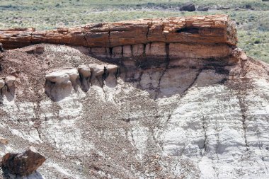 Taşlaşmış ağaç gövdesi, Long Los, Taşlaşmış Orman Ulusal Parkı, Arizona - ABD