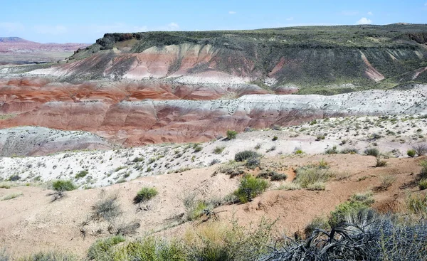 Boyalı Çöl, Taşlaşmış Orman Ulusal Parkı, Arizona - ABD
