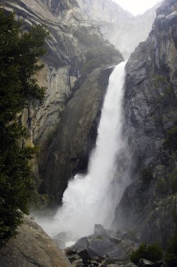 Yosemite Ulusal Parkı, Kaliforniya Şelalesi - ABD