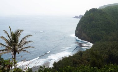 Kohala Sahili, Kona, Büyük Ada Hawaii - ABD