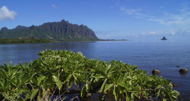 Kuaola Bölgesel Parkı, Oahu Adası, Hawaii - ABD