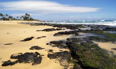 Kumsal, Honolulu, Oahu Adası, Hawaii - ABD