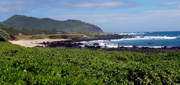Αμμώδης Παραλία Χονολουλού Νήσος Oahu Χαβάη Ηνωμένες Πολιτείες Εικόνα Αρχείου