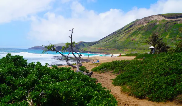 Spiaggia Sabbia Honolulu Isola Oahu Hawaii Stati Uniti Foto Stock Royalty Free