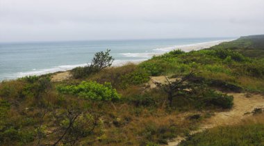 Cape Cod Sahili, Massachusetts - ABD