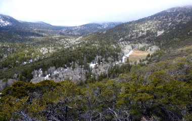 Great Basin Ulusal Parkı, Nevada - ABD