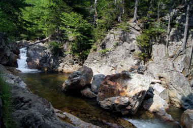 Glen Hellis Falls, White Mountains, Nuevo Hampshire - Birleşik Devletler