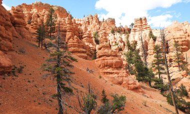 Tower Bridge Hike, Bryce Canyon Ulusal Parkı, Utah - ABD