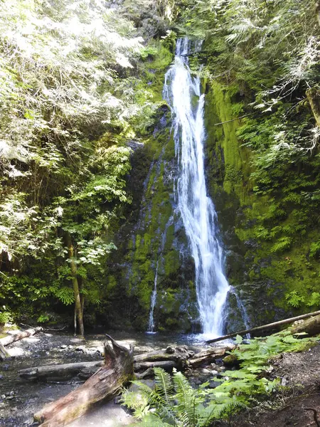 Madison Falls, Olympic National Park, Washington Eyaleti - ABD