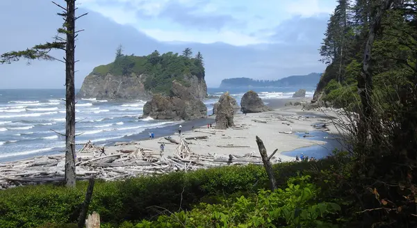 Rubi Plajı, Olimpiyat Ulusal Parkı, Washington Eyaleti - ABD