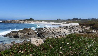 Monterey Yarımadası Plajı, Kaliforniya - ABD