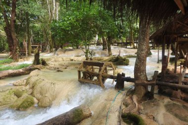 Tad Sae Şelaleleri, Luang Prabang Laos