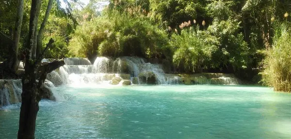 Tad Sae Şelaleleri, Luang Prabang Laos