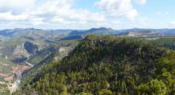 Otero, Copper Canyon, Chihuahua Sierra Madre Occidental - Meksika