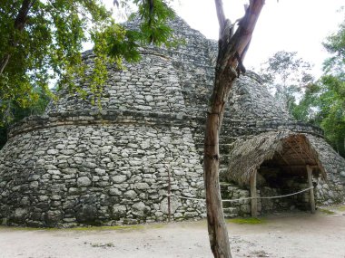 Maya arkeolojik bölgesi, Coba, Quintana Roo - Meksika