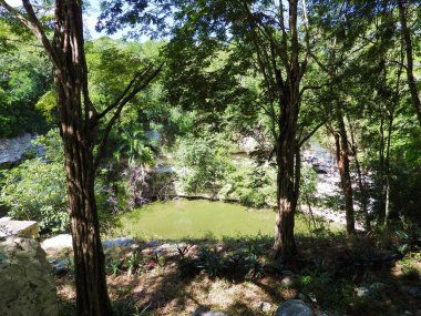 Kutsal Cenote, Chichen Itza Harabeleri, Yucatan - Meksika