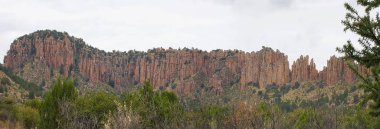 Sierra de Organos Ulusal Parkı, Zacatecas - Meksika