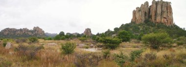 Sierra de Organos Ulusal Parkı, Zacatecas - Meksika