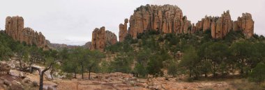 Sierra de Organos Ulusal Parkı, Zacatecas - Meksika