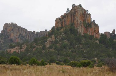 Sierra de Organos Ulusal Parkı, Zacatecas - Meksika