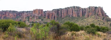Sierra de Organos Ulusal Parkı, Zacatecas - Meksika