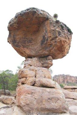 Kaya oluşumları, Sierra de Organos Ulusal Parkı, Zacatecas - Meksika