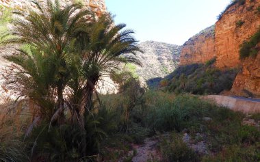 Cennet Vadisi, Immouzer Şelaleleri Agadir - Fas