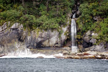 Şüpheli Ses, Fiordland Ulusal Parkı, Güney Adası - Yeni Zelanda