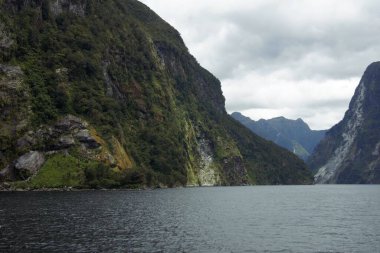 Şüpheli Ses, Fiordland Ulusal Parkı, Güney Adası - Yeni Zelanda