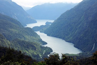 Şüpheli Ses, Fiordland Ulusal Parkı, Güney Adası - Yeni Zelanda
