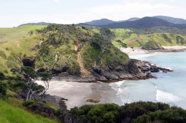 Tutukaka Körfezi, Adalar Körfezi, Kuzeydoğu Sahili, Kuzey Adası - Yeni Zelanda