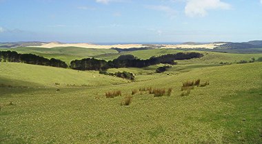 Cape Reinga 'daki çayırlar, Kaitaia, Kuzey Adası- Yeni Zelanda