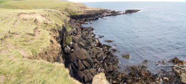 Slope Point, Güney Adası, Yeni Zelanda 'nın kıyı manzarası