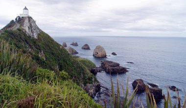 Nugget Point Deniz Feneri, Otago Bölgesi, Güney Adası - Yeni Zelanda