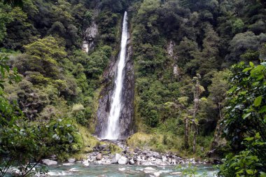 Thunder Creek Şelalesi, Wanaka, Güney Adası - Yeni Zelanda