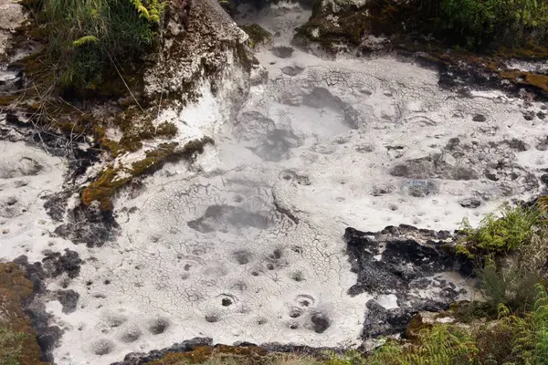 Ay Kraterleri, Wairakei Parkı, Taupo, Kuzey Adası - Yeni Zelanda