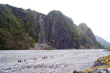 Fox Buzulu 'na, Westland Ulusal Parkı' na Güney Adası, Yeni Zelanda.