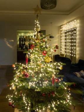 Pencereden dışarıdaki Noel ağacı