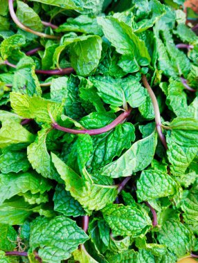 Yeşil nane şekeri yaprakları yaprakları aromatik aromalı sebze aromalı baharat malzemesi pudina menta menü poivree imge hortela-pimenta yakın çekim fotoğrafı