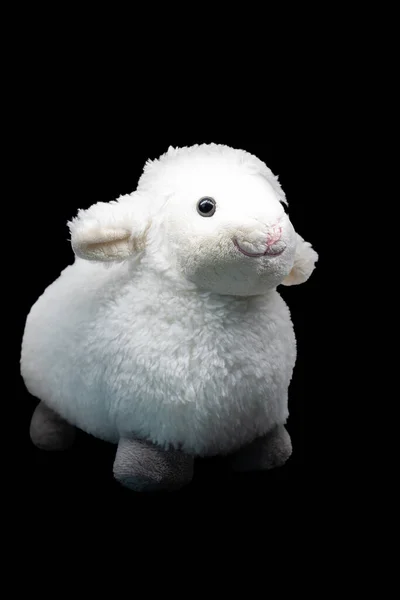 Fluffy sheep toy waiting to comfort and hug