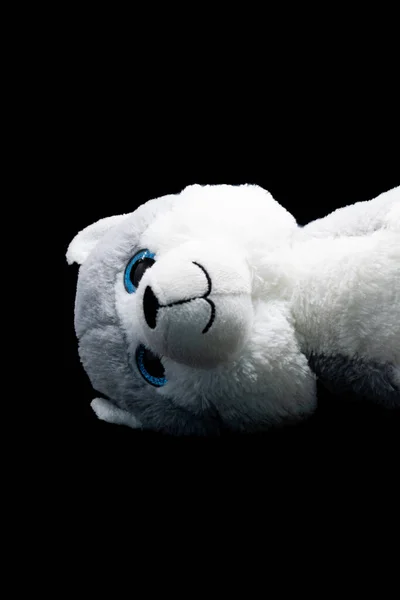 Fluffy Dog Toy Waiting Hugged — Stock Photo, Image