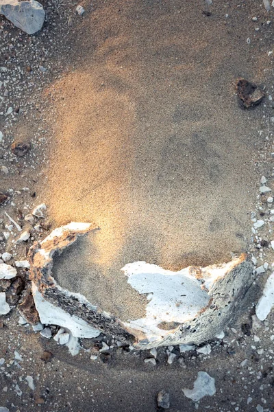 Crânio Estranho Forma Rocha Sentado Duna Areia Lavado Pela Luz — Fotografia de Stock