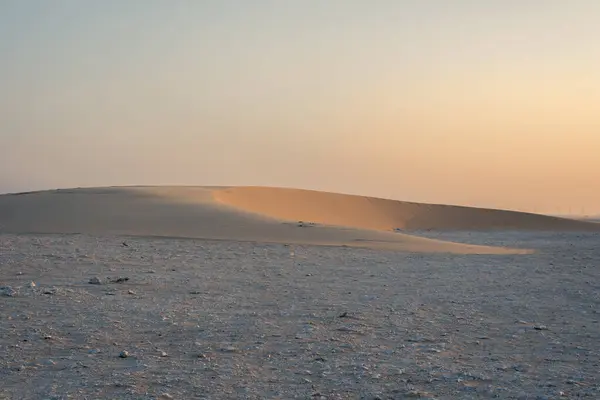 Αμμόλοφος Single Κάθεται Βραχώδες Έδαφος Ηλιόλουστη Πλευρά Του Αμμόλοφου Φαίνεται — Φωτογραφία Αρχείου