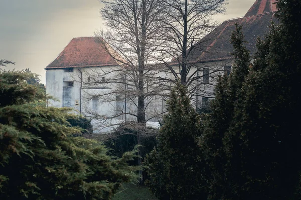 朝日の古城寒い冬の朝に小葉の枝の後ろに隠れていた中世の城の機嫌の良い解釈 — ストック写真