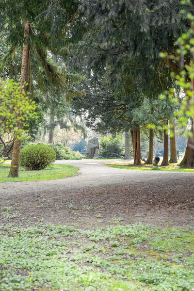 stock image path in the park, with tall old evergreen trees, europe, croatia