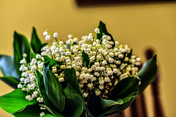 Karangan Bunga Lili Dari Lembah Dalam Vas — Stok Foto