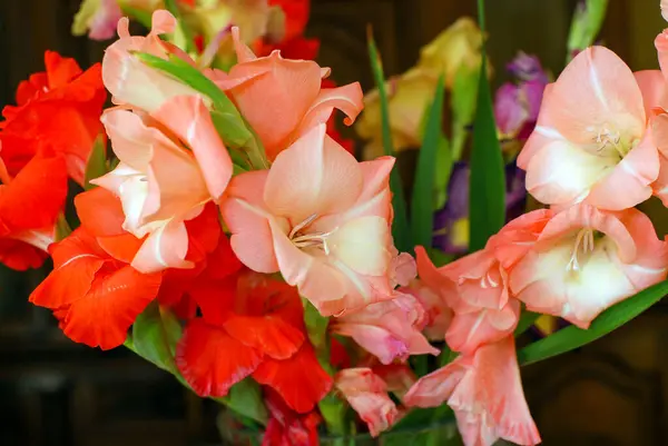 Ramo Hermosas Flores — Foto de Stock