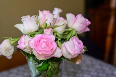 beautiful flowers of roses, pink, green and pink roses on the window.