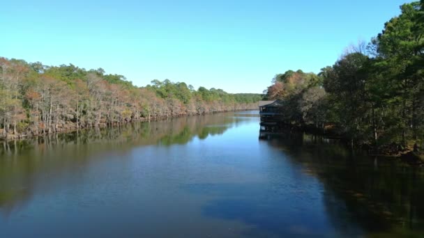 Big Cypress Bayou River Caddo Lake State Park Αεροφωτογραφία — Αρχείο Βίντεο